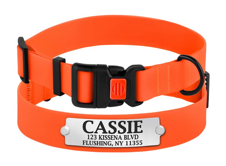 Waterproof Collar for Dog Nylon Dog Collar Leash Set Etsy