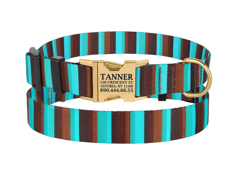 Custom Dog Collar Engraved Buckle Personalized Puppy Collar Etsy