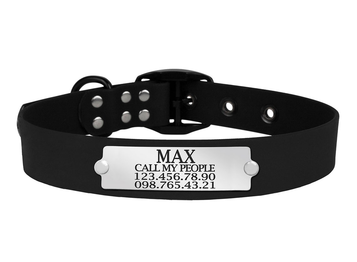 Waterproof Dog Collar Personalized Puppy Collar with Dog Name Etsy