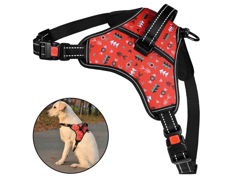 Dog Harness With Matching Leash Set Soft Padded Dog Harness Etsy