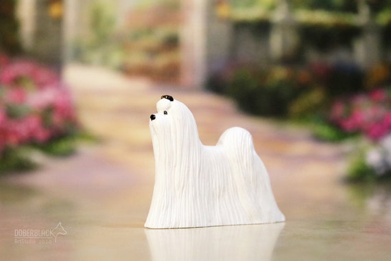 Maltese Terrier Dog Show Ring Clip/ Ring Number Holder Maltese Terrier Dog Show Ring Clip/ Ring Number Holder