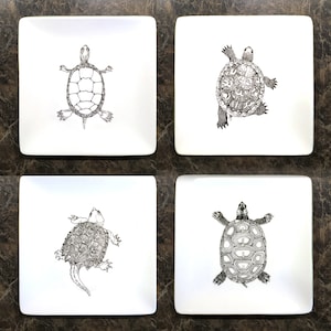Turtle, Box Turtle, contemporary B&W, china painting on 4&quot; coupe porcelain plate