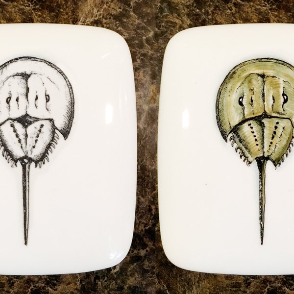 Horseshoe Crab, hand painted on porcelain box, B&W