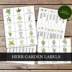 Op de afbeelding: Kruidentuinlabels met aquarel illustraties van verschillende kruiden, waaronder basilicum, munt en tijm. De labels zijn gerangschikt op witte kaarten met de tekst "HERB GARDEN LABELS" onderaan. Een groene "DIGITAL DOWNLOAD" sticker is zichtbaar.