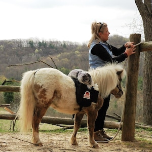 Miniature Horse and Donkey Backpacks  - Custom Patches and Accessories