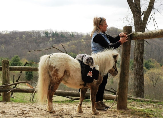Miniature Horse and Donkey Backpacks Custom Patches and