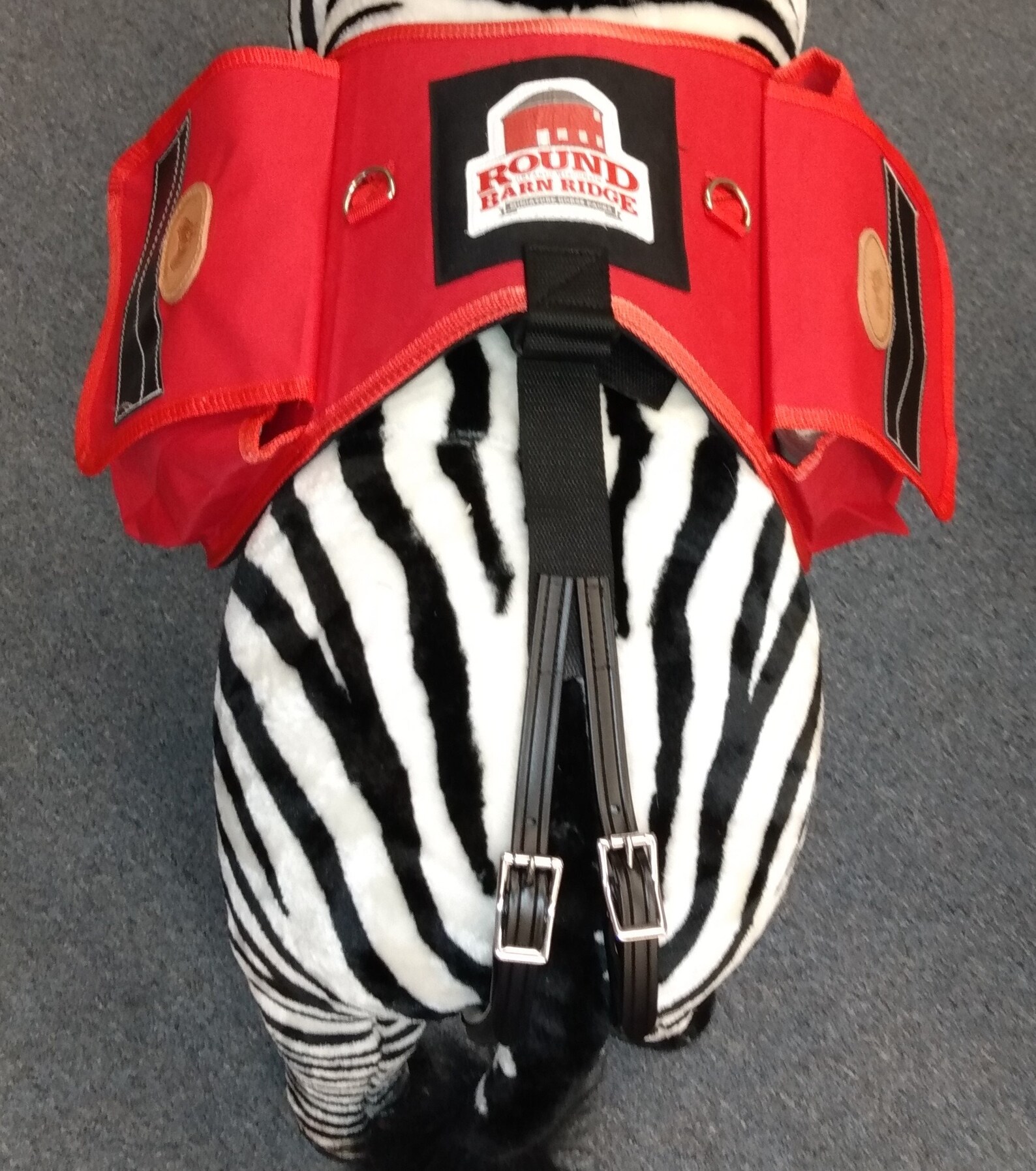 Miniature Horse and Donkey Backpack Smaller Version Custom Etsy