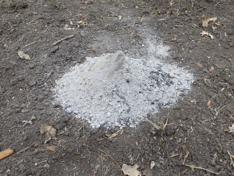 Pure Wood Ash for Gardens and Plants 1 Gallon 6lbs Etsy