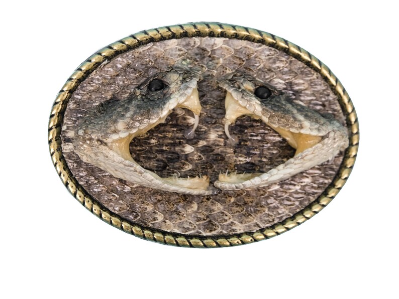 REAL Rattlesnake Head Belt Buckle 