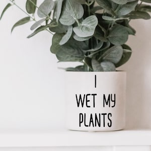 May include: White ceramic planter with the text "I wet my plants" in black lettering. A green potted plant with leafy branches is in the planter.