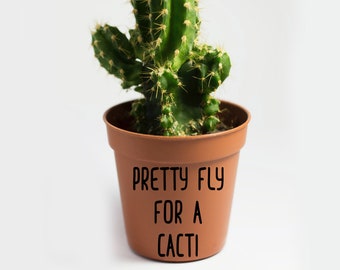 Plant Pot Decal, Fly For A Cacti Decal Sticker for Car, Laptop or Wall, Vinyl Gift, Plant Gift, Plant Mom