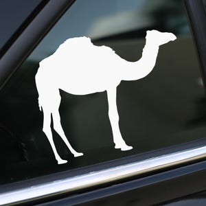 Camel Decal, Sticker for Car, Laptop or Wall, Vinyl Gift, Camel Gift