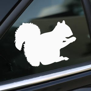 Squirrel Decal, Sticker for Car, Laptop or Wall, Vinyl Gift, Squirrel Gift