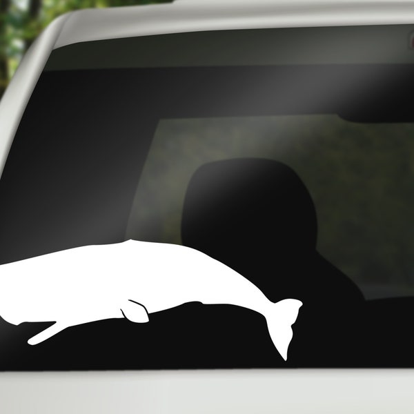 Whale Decal, Sticker for Car, Laptop or Wall, Vinyl Gift, Whale Gift
