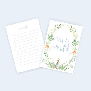 Aquarelles Pierre Rabbit Jalons | FICHIER NUMÉRIQUE UNIQUEMENT