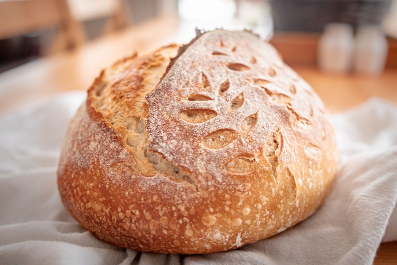 Dehydrated Sourdough Starter, San Francisco Sourdough, Organic Flour image 5