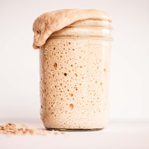 Dehydrated Sourdough Starter, San Francisco Sourdough, Organic Flour image 2