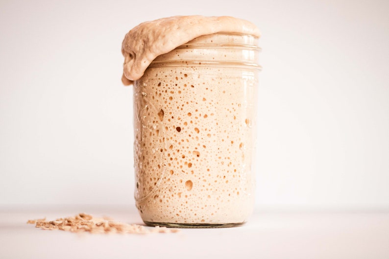 Dehydrated Sourdough Starter, San Francisco Sourdough, Organic Flour image 2