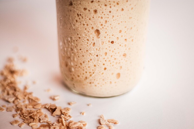 Dehydrated Sourdough Starter, San Francisco Sourdough, Organic Flour image 3