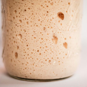 Dehydrated Sourdough Starter, San Francisco Sourdough, Organic Flour image 4