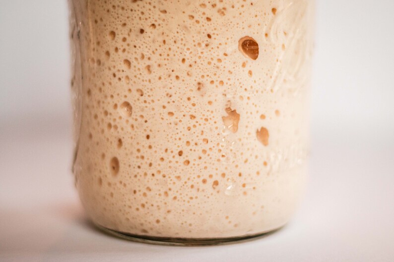 Dehydrated Sourdough Starter, San Francisco Sourdough, Organic Flour image 4