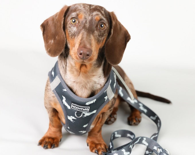 Grey Step in Dachshund Dog Harness Dachshund Harness Harness Etsy