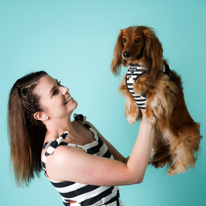 Dachshund Step in Dog Harness Striped Dachshund Harness Etsy