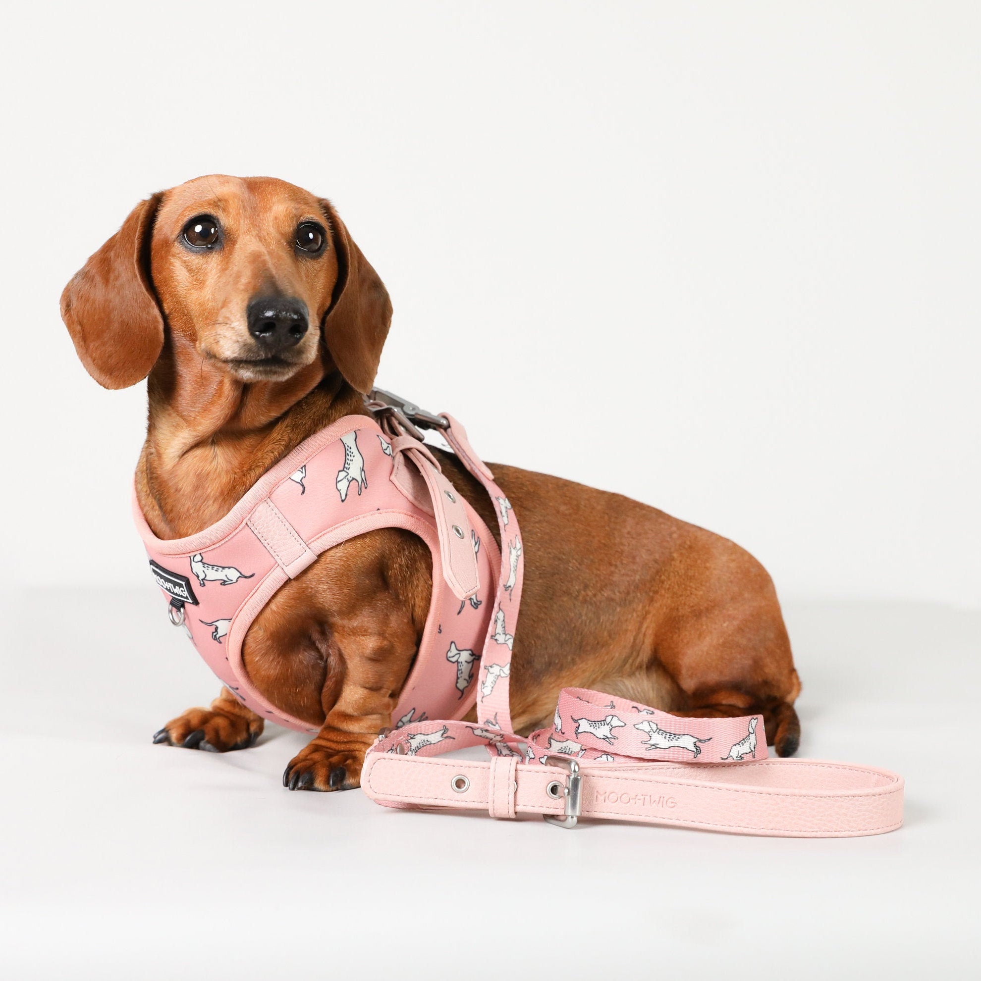 Dachshund Pink Step in Dog Harness Dachshund Harness Harness Etsy