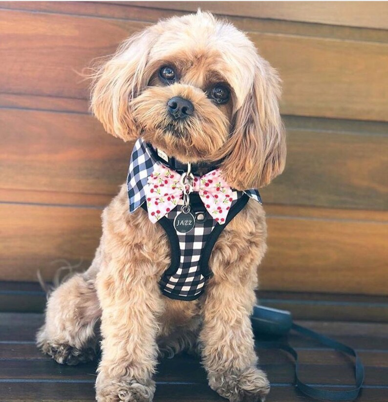 Gingham DOG HARNESS SHIRT With Detachable Bow Tie Cute Dog Etsy