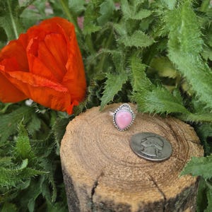 Könnte beinhalten: Ein silberner Ring mit einem tropfenförmigen rosa Stein, platziert auf einer Holzoberfläche neben einer Münze. Eine leuchtend orangefarbene Mohnblume und grünes Laub bilden einen natürlichen Hintergrund.