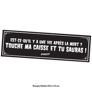 Bumper Sticker - Is there life after death?