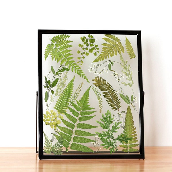 Pressed flower frame, dried flowers leaves frame, fern collage framed art, botanical art, glass floating frame, natural herbarium frame