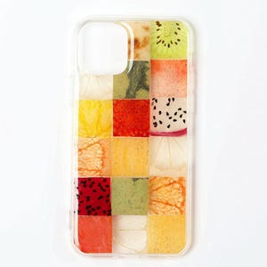 Custodia per telefono con collage di fiori pressati e frutta secca, per iPhone 15, 14, 13, 12, 11 Pro Max, SE X, XR, XS, 7, 8 Plus, Samsung Galaxy S24, S23, S22, S21