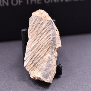 Shatter cone Agoudal Shatter cone Agoudal,Impaktit,Krater,Astrobleme,Impaktstrukturen,Marokko,geologisches Exemplar