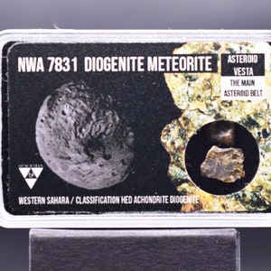 Rare Certificated Meteorite HED, Asteroid Vesta , Diogenite from Vesta, NWA 7831, Great Acquisition for Collectors, achondrite meteorite
