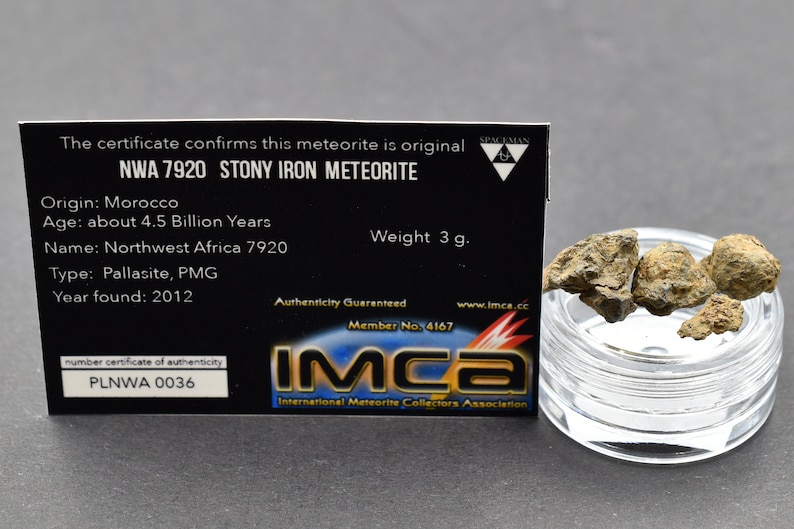 Saharan Desert Space NWA Stony Meteorite 3 g Ordinary Chondrites Great for Collectors Amazing gift design statuette NonCom
