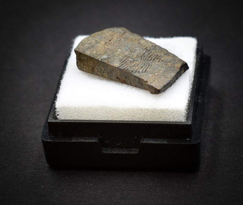 Space NWA Stony Meteorite 2,52 g Ordinary Chondrites Great for Collectors Saharan Desert NonCom Amazing gift design statuette
