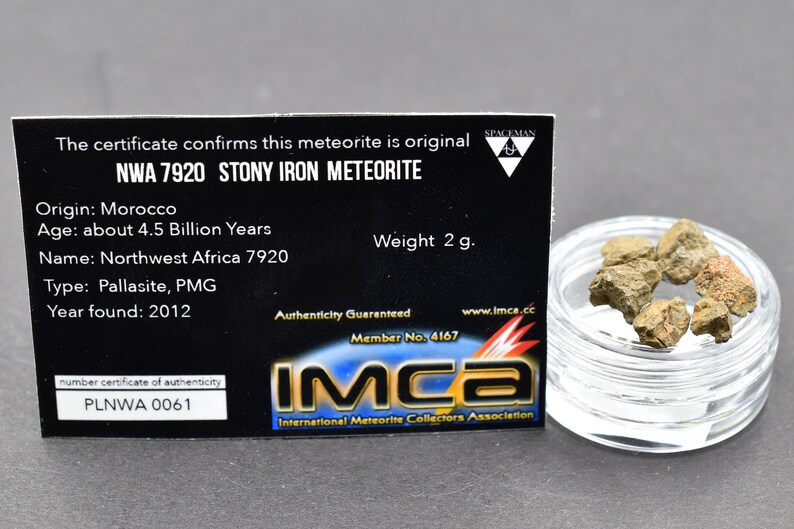 Great for Collectors NonCom Saharan Desert Space Amazing gift design statuette Ordinary Chondrites NWA Stony Meteorite 2 g