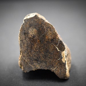 NWA Stony Meteorite 49,68 g, Saharan Desert, with Stand NonCom, Great for Collectors, Space, Amazing gift design statuette