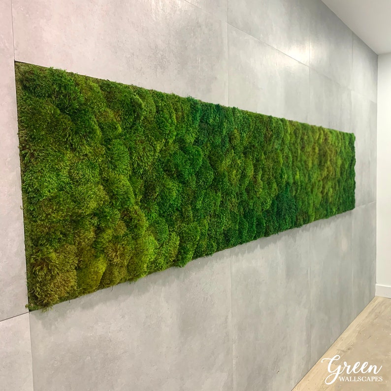 Preserved Moss Wall Art Wall Decor Green Wall Natural Etsy