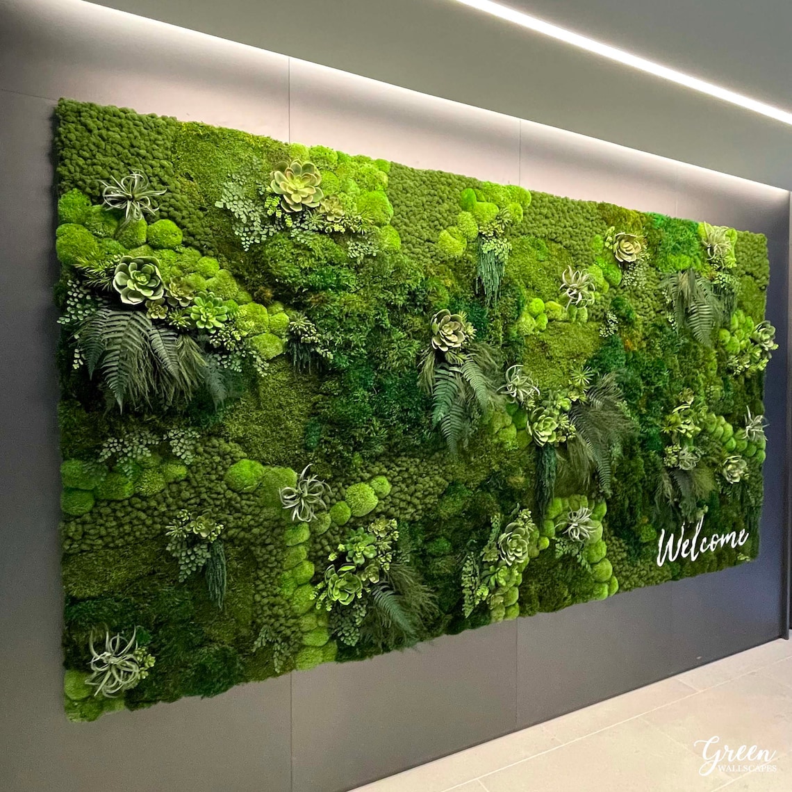 Nomaintenance Moss and Succulent Wall Custom Amazonia Wall Green