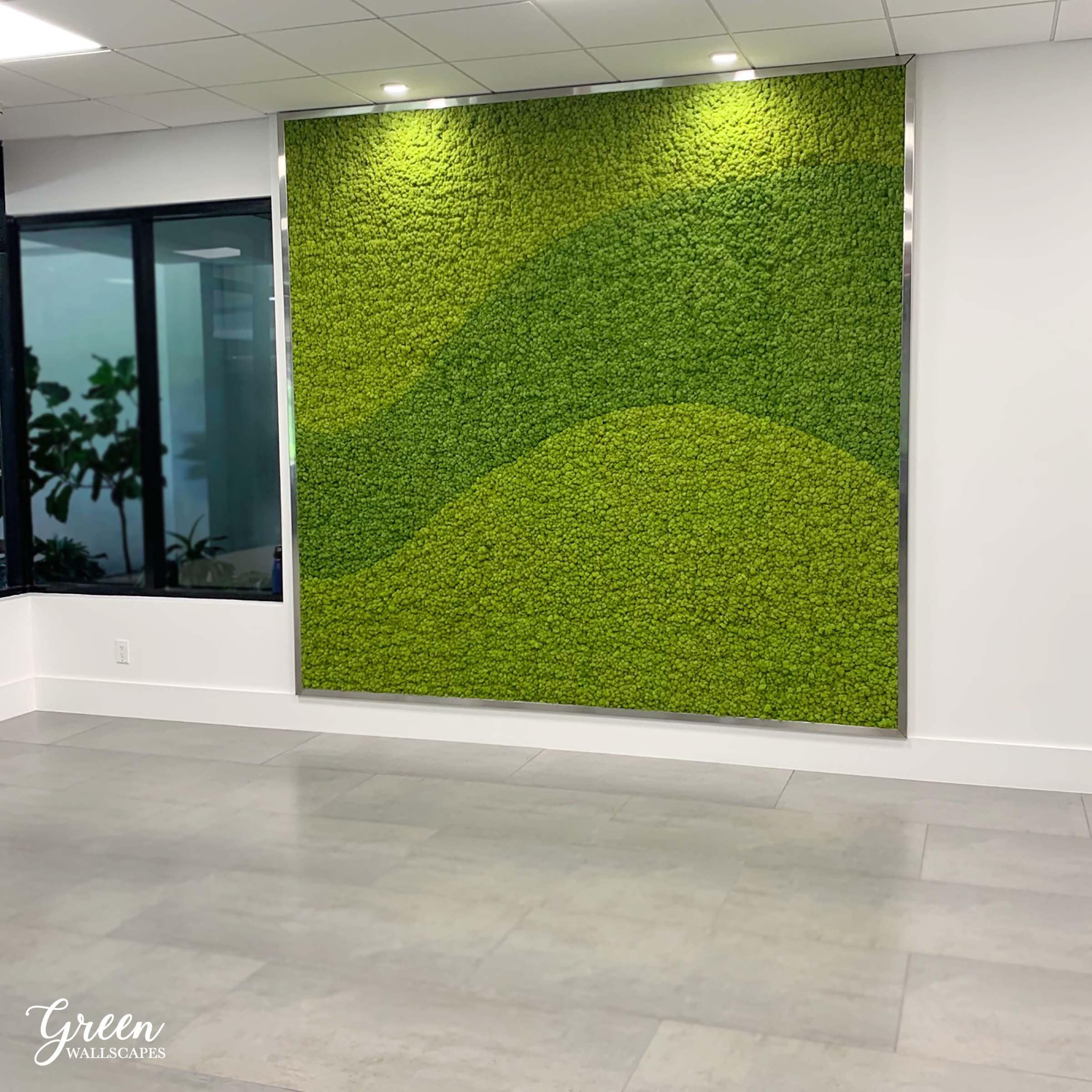 Preserved Moss Wall with Manzanita Branches, White Reindeer Moss