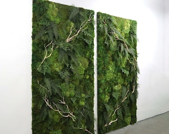 Custom Moss and Ferns Green Wall | Green Wallscapes