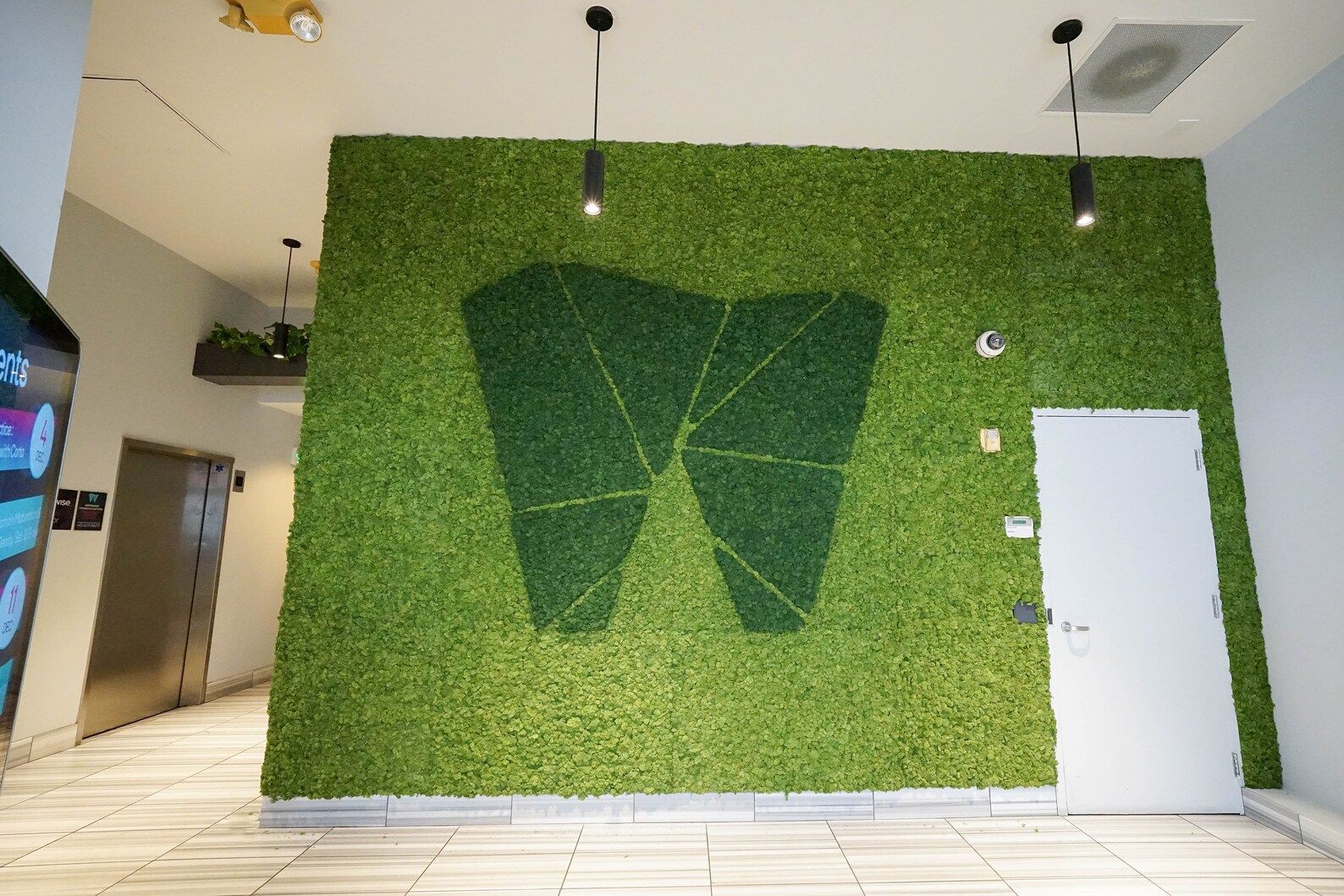 Moss Wall Installation Preserved Moss Wall Art Large Moss Etsy