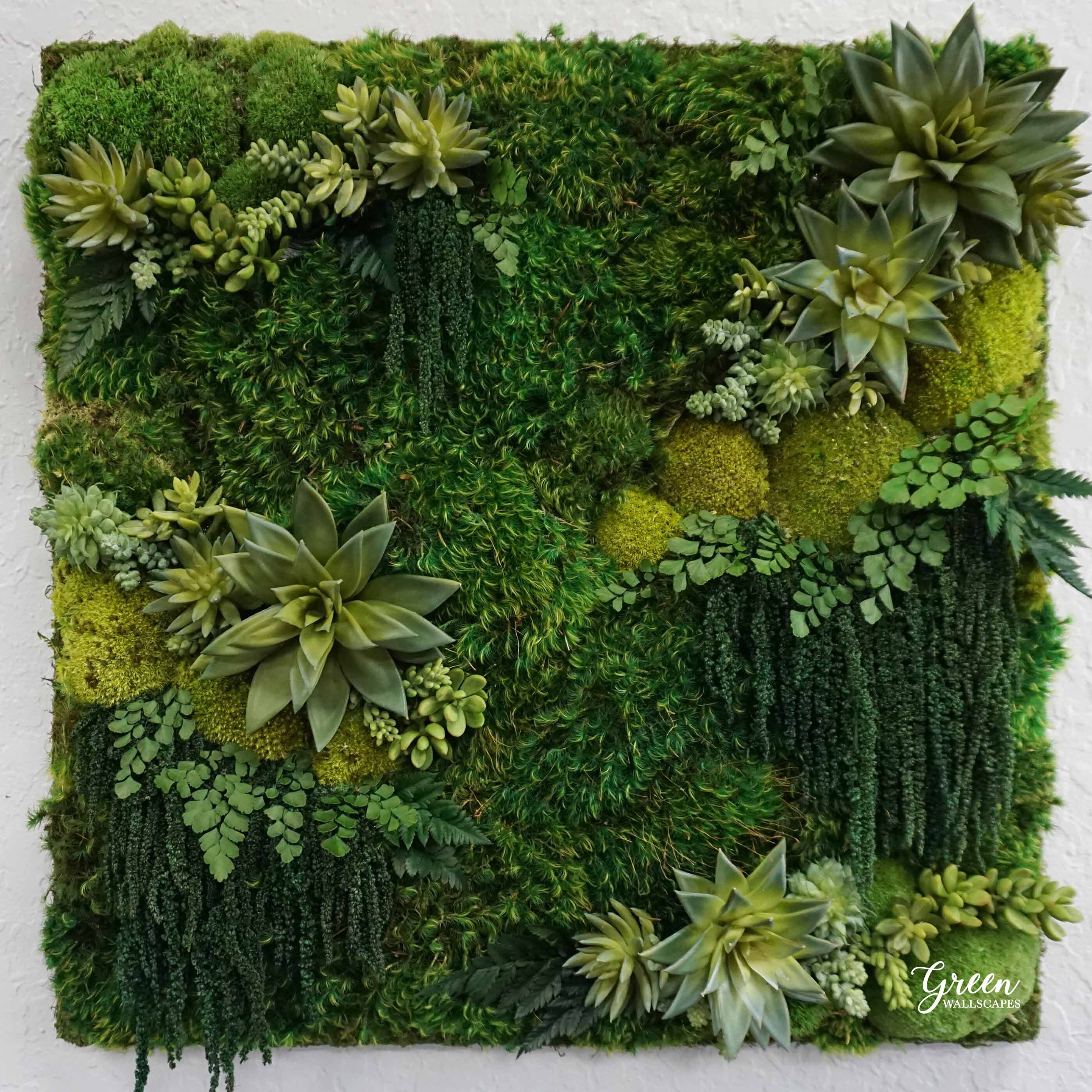 Free Shipping Succulent Wall Art Moss Art
