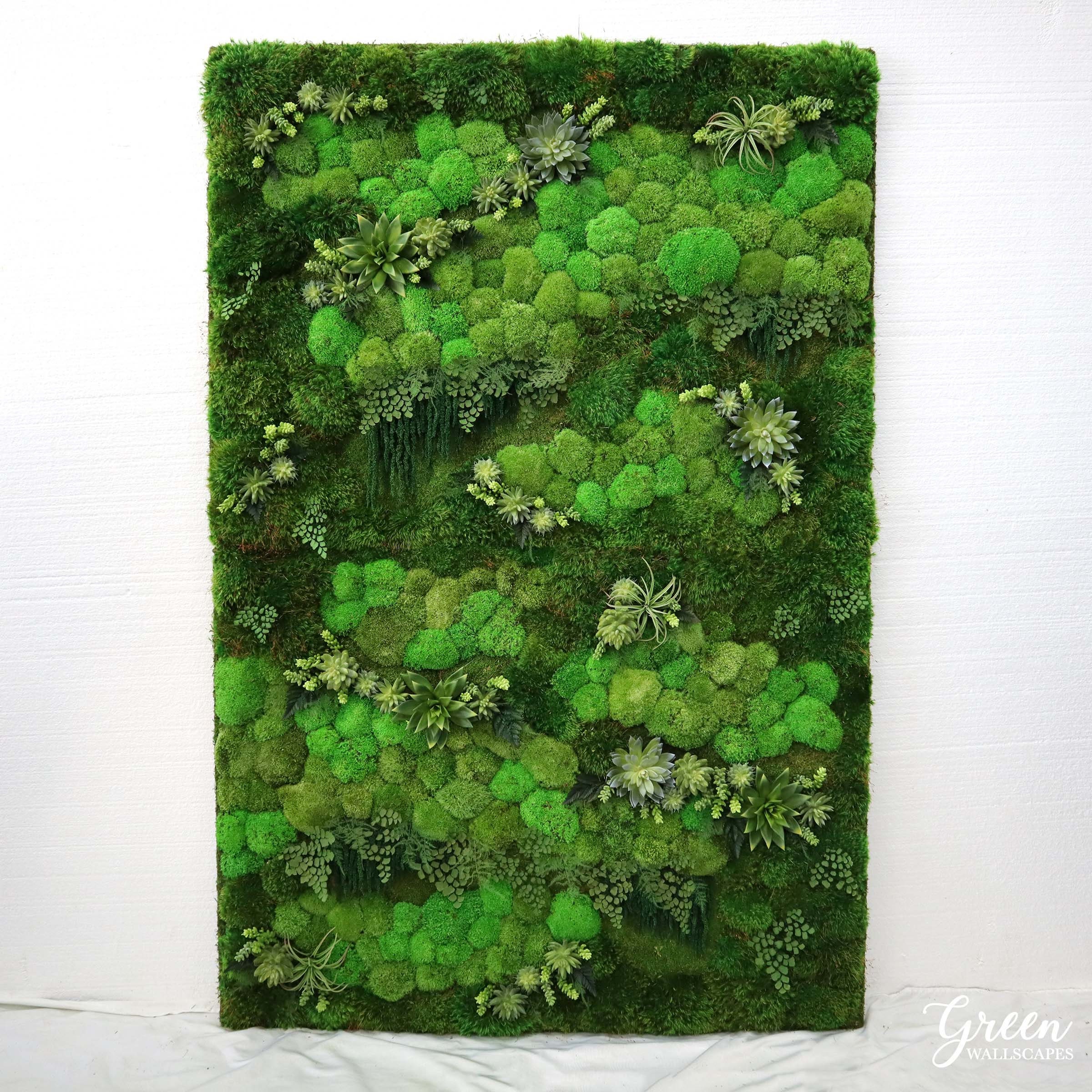 How to Care for Preserved Moss – Green Wallscapes