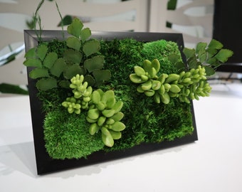 Double Brick Molds - $29.00 : Forever Green Art, Preserved Plants for Home  and Business