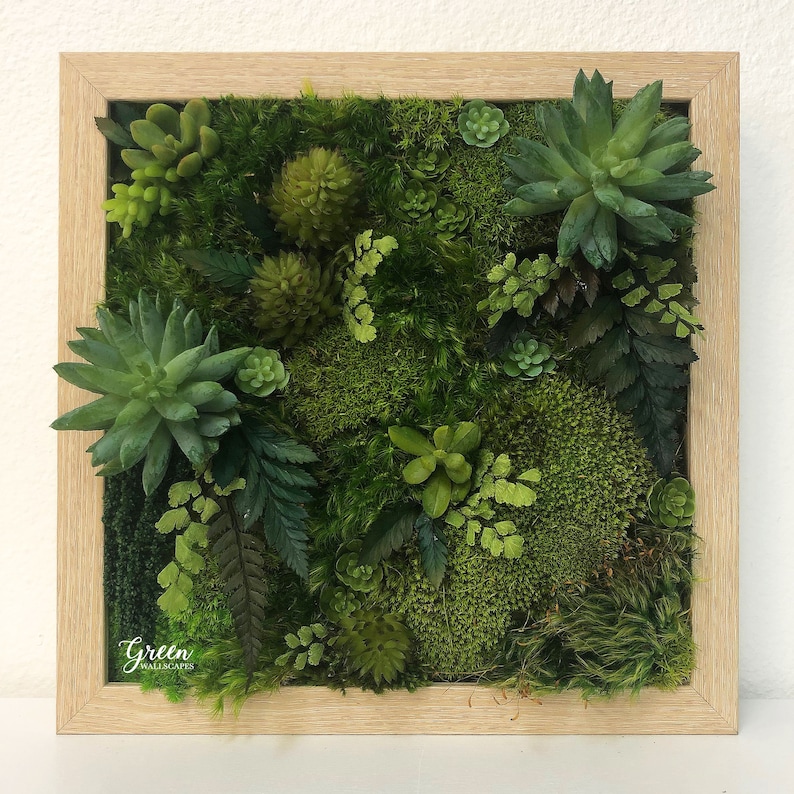 Moss and Fern Art Fern Moss Wall Art Wall Moss Art Etsy
