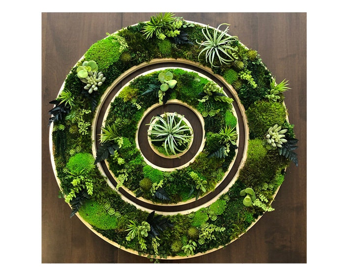 Succulent Wall Art | Planteur Mural Succulent Moss Succulent Garden Mur Pendaison Vivant Succulent