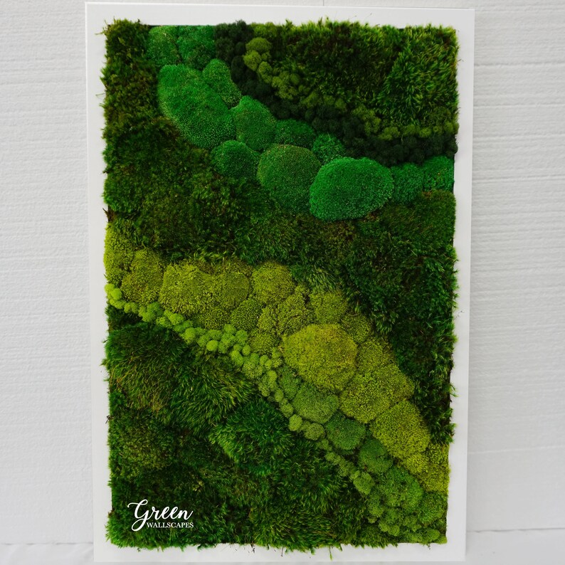 Preserved Moss Wall Art Wall Decor Green Wall Natural Etsy